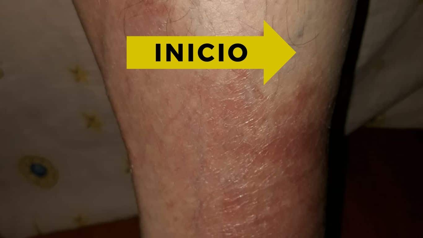 cosmética natural