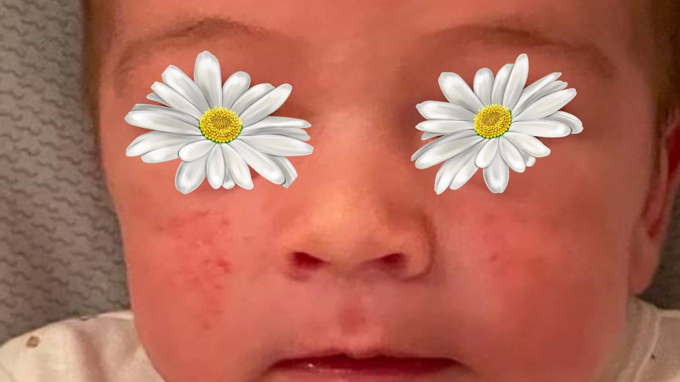 cosmética natural